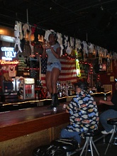Click image for larger version

Name:	Coyote Ugly.jpg‎
Views:	129
Size:	63.4 KB
ID:	1115