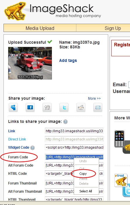 Name:  insert_image2.gif
Views: 2060
Size:  39.8 KB