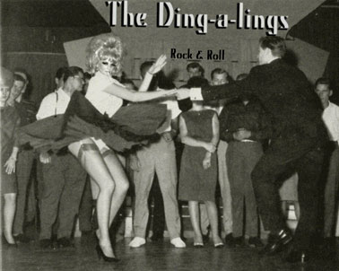 title photo for the dingalings
